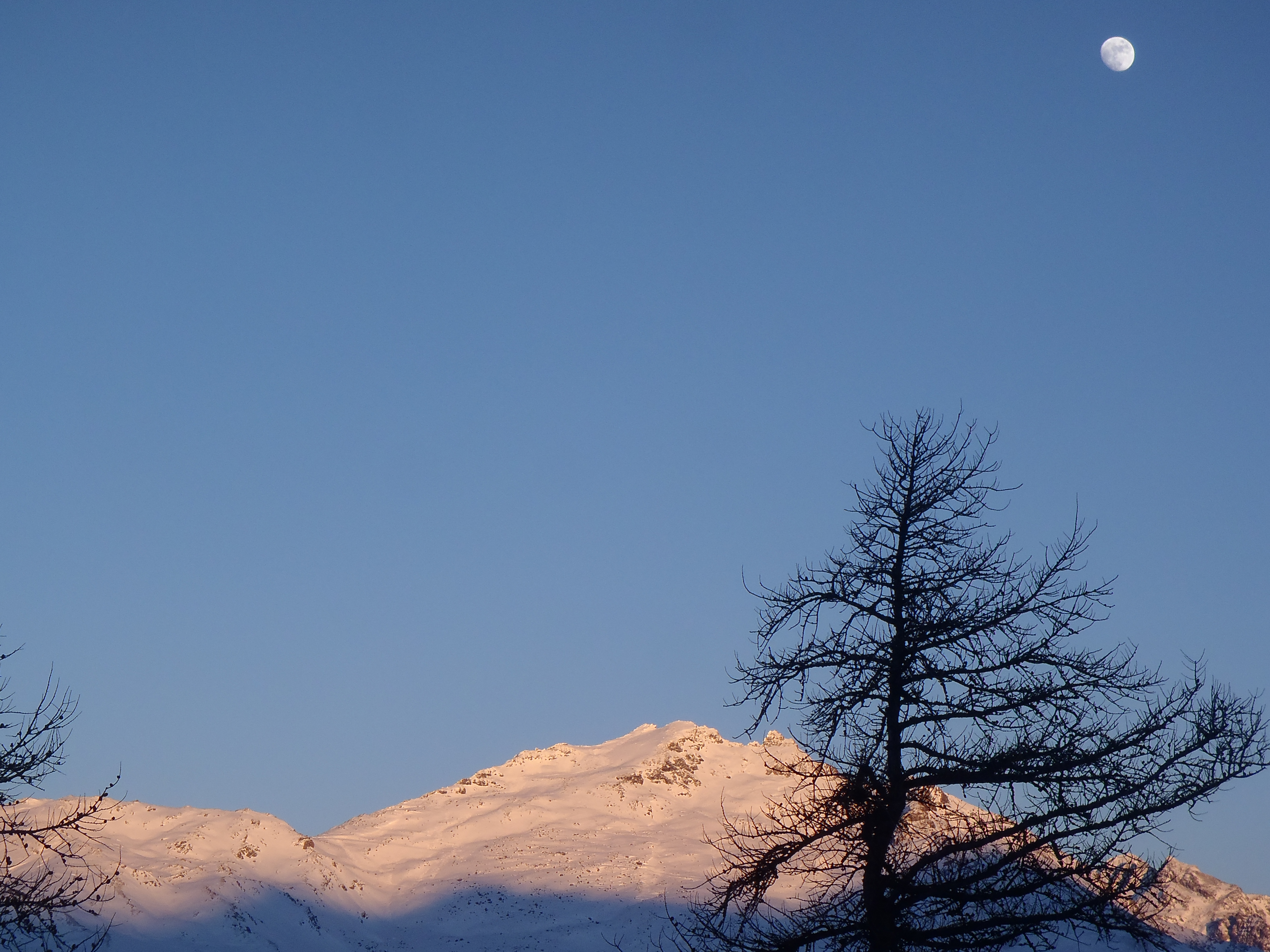 lune et ciel bleu en hiver